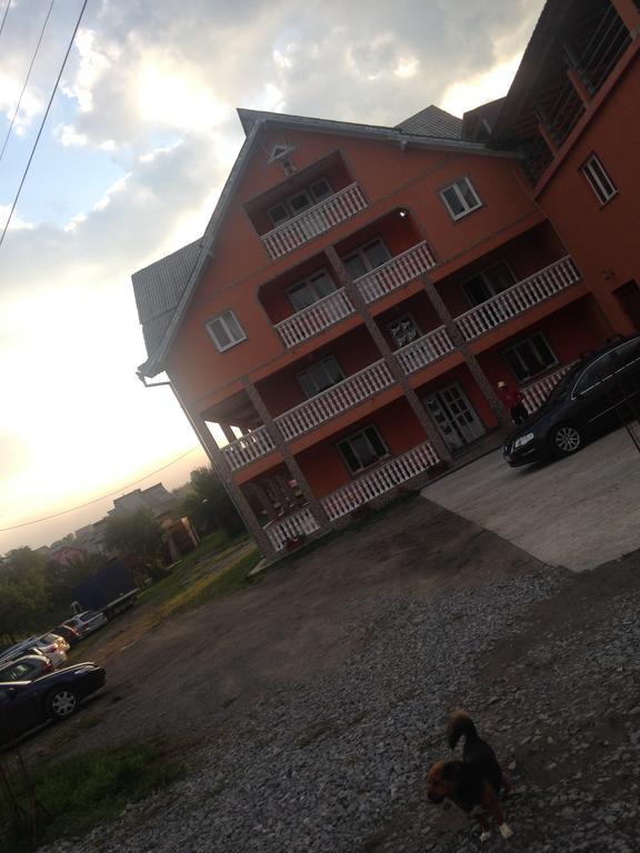 Pensiunea Colt De Rai Săcel Zewnętrze zdjęcie