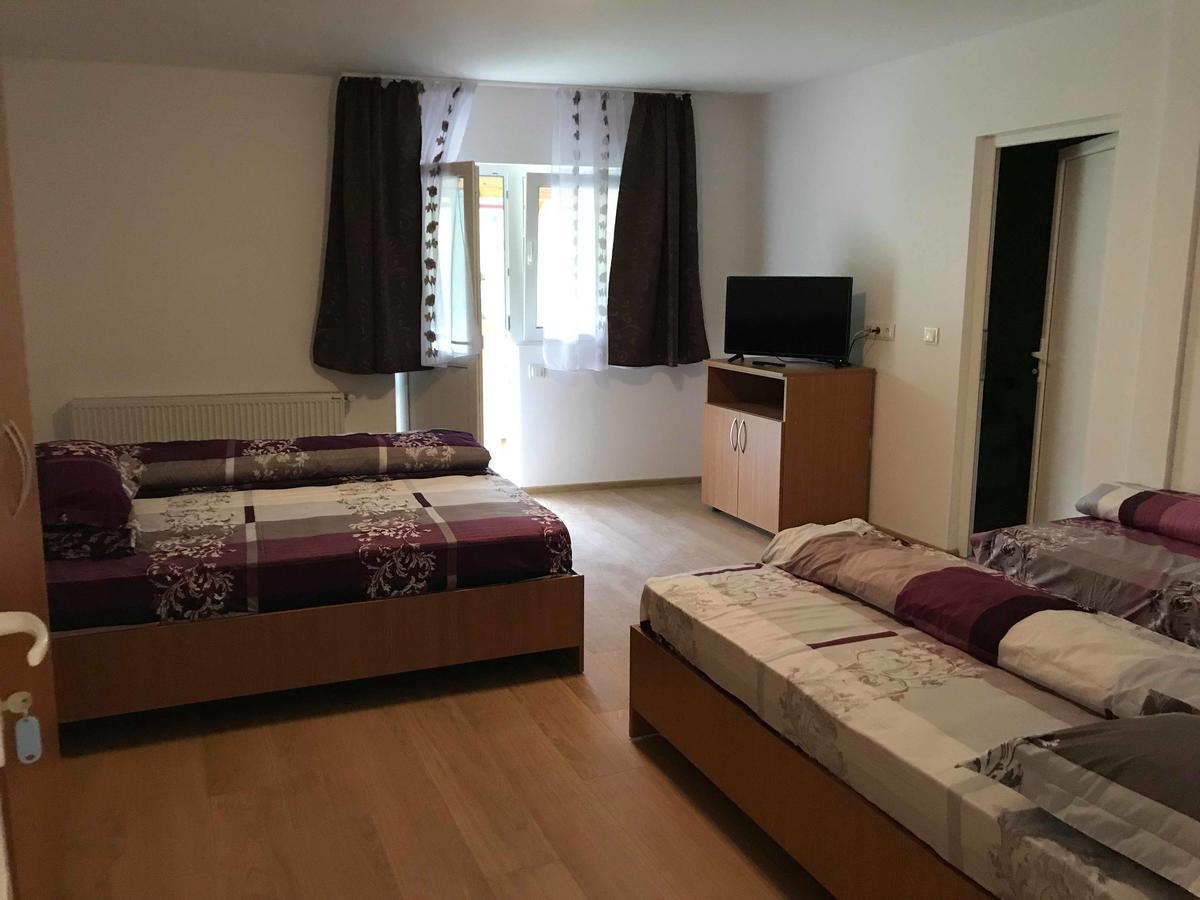Pensiunea Colt De Rai Săcel Zewnętrze zdjęcie