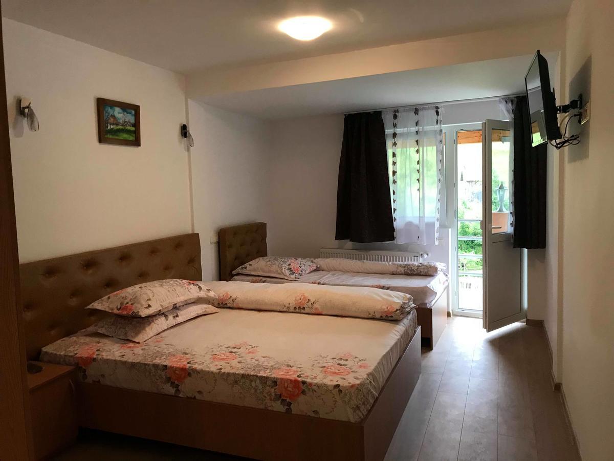 Pensiunea Colt De Rai Săcel Zewnętrze zdjęcie